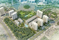 Tasco (HUT) có Tổng giám đốc mới