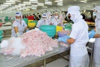 Kinh doanh bết bát, Thủy sản Hùng Vương (HVG) muốn bán hết 5 triệu cổ phiếu quỹ