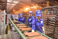 Viglacera Hạ Long (VHL) sẽ chia cổ tức năm 2019 với tỷ lệ 27%