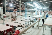 CMC (CVT): Đến lượt Tổng giám đốc đăng ký bán 1 triệu cổ phiếu