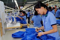 Nguy cơ vượt ngưỡng quy định đối với một số hàng dệt may xuất khẩu vào khu vực EAEU