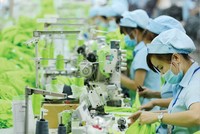 Vượt hơn 40% kế hoạch lợi nhuận, Dệt May Huế (HDM) chốt quyền chia cổ tức năm 2022, tỷ lệ 72%