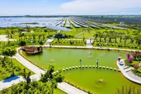 “Thảo nguyên xanh” gõ cửa mùa xuân