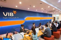 VIB cho biết nguồn vốn thực hiện tăng vốn cho công ty con từ nguồn vốn chủ sở hữu.