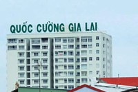 Quốc Cường Gia Lai (QCG) lý giải nguyên nhân cổ phiếu tăng trần 5 phiên liên tiếp