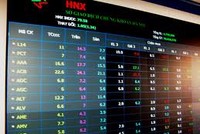 5,4 triệu cổ phiếu VMI chính thức chào sàn