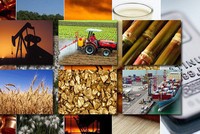 Thị trường hàng hóa tuần từ 4/11 – 8/11: Điều chỉnh là cơ hội để chốt lời