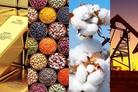 Giao dịch trong Siêu chu kỳ tăng giá - chọn chiến thuật “chậm mà chắc”