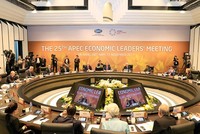 Hội nghị Các nhà lãnh đạo Kinh tế APEC lần thứ 25. Ảnh: TTXVN