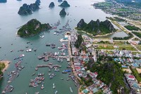 Giao dịch mua bán đất nền tại Vân Đồn (Quảng Ninh) trước thời điểm huyện đảo này trở thành đặc khu kinh tế rất nóng.