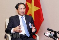 Thứ trưởng Thường trực Bộ Ngoại giao Bùi Thanh Sơn. (Nguồn: TTXVN).