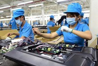 Xoá rào cản để kinh tế tư nhân lớn mạnh