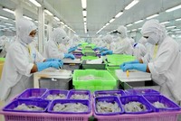 Doanh nghiệp xuất khẩu cận kề cánh cửa mới từ CPTPP