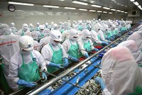 9 tháng, Thủy sản Minh Phú (MPC) lãi sau thuế 535 tỷ đồng