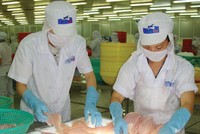 Bức tranh tài chính của HVG còn nhiều điểm cần lưu tâm, dù lãi lớn.