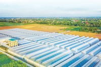 The PAN Group và hành trình tạo dựng giá trị bền vững