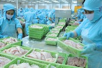 Doanh nghiệp thủy sản tăng tốc đón CPTPP