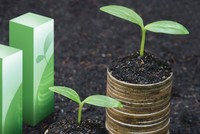 Công ty niêm yết lo tuổi thành niên