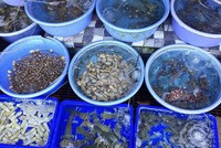 Đến Vũng Tàu dịp lễ, ghé 5 địa chỉ rộng rãi thưởng thức hải sản tươi