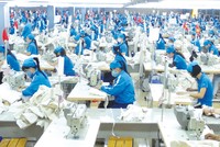 Tăng năng suất: Chìa khóa để thoát bẫy thu nhập trung bình