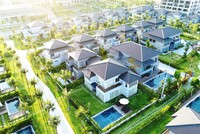 Tập đoàn CEO: Sẵn sàng cho hành trình vươn xa