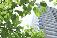 Tăng cường áp dụng tiêu chí đánh giá môi trường đối với các dự án đầu tư nhằm thúc đẩy tín dụng xanh