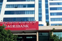 Tăng trưởng tín dụng xanh chưa tương xứng với tiềm năng thực tế