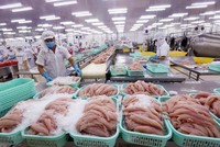 Quý III kém sắc của doanh nghiệp thủy sản