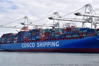 Container hàng Trung Quốc chờ được bốc dỡ tại cảng Long Beach ở Los Angeles, Mỹ. (Nguồn: THX/TTXVN).