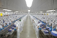 Doanh nghiệp thủy sản nhọc nhằn đi qua quý I