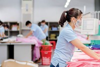 May Sông Hồng không chờ “thuốc trợ lực”