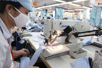 Dệt may càng cuối năm càng khó