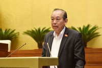 Phó thủ tướng thường trực Trương Hòa Bình.