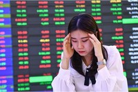 F1M mải miết dò đáy