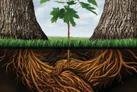 “M&A phải giữ vai trò tái cấu trúc, tạo chuỗi”