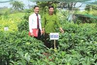 Agribank giữ vững “trận địa” nông thôn, vùng sâu, vùng xa