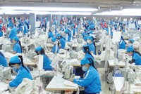 Doanh nghiệp niêm yết thích ứng và chờ cơ hội
