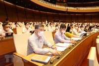 Đại biểu Quốc hội biểu quyết thông qua Nghị quyết về cơ cấu tổ chức của Chính phủ nhiệm kỳ 2021-2026. (Ảnh: Phương Hoa/TTXVN).