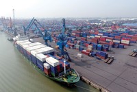 Giá cước vận tải biển dự báo chỉ hạ nhiệt khi dịch bệnh được kiểm soát trên thế giới.