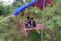 Học sinh vùng cao "hứng sóng" học online.