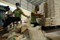 Đóng gói gạo tại công ty kinh doanh chế biến nông sản Bảo Minh ở quận Hoàng Mai (Hà Nội). (Ảnh: Vũ Sinh/TTXVN).