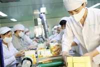 Năm 2021, nhiều cổ phiếu dược nổi sóng sau thông tin nhập khẩu vắc-xin và thuốc chữa Covid-19, dù không hề hưởng lợi.