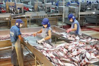 Thị trường xuất khẩu đang rất thuận lợi với các doanh nghiệp chế biến thủy sản.