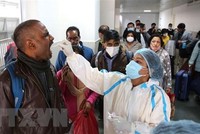 Nhân viên y tế lấy mẫu xét nghiệm COVID-19 cho người dân tại Bhopal, Ấn Độ. (Ảnh: THX/TTXVN).