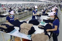 Hoạt động sản xuất tại Bình Dương. (Ảnh: Vũ Sinh/TTXVN).