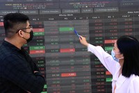 Thị trường chứng khoán Việt Nam cần nhiều hơn những định chế, nhà đầu tư tổ chức.