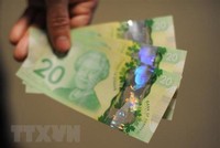 Đồng đôla Canada. (Ảnh: AFP/TTXVN).