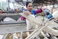 Sau nhiều năm tái cơ cấu, Gỗ Trường Thành đang bị nghi ngờ khả năng hoạt động liên tục.