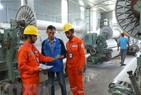Công nhân Tổng Công ty Điện lực Hà Nội tuyên truyền tiết kiệm điện, sử dụng điện an toàn và hiệu quả cho các hộ sản xuất trên địa bàn huyện Thanh Oai. (Ảnh: Ngọc Hà/TTXVN).