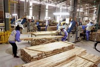 Gỗ và sản phẩm gỗ xuất khẩu sang Canada tăng trưởng tốt nhờ khai thác Hiệp định CPTPP.